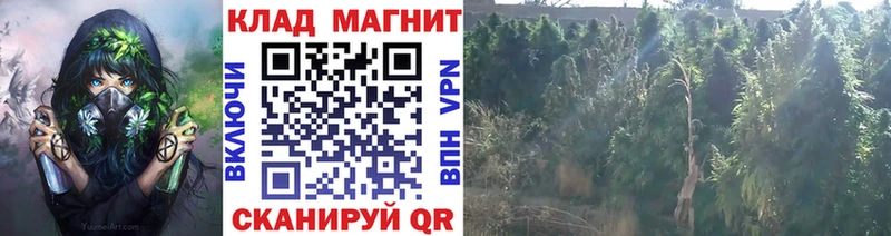 Где купить наркоту Красный Сулин Канабис АМФ СОЛЬ ГАШ МЕФ