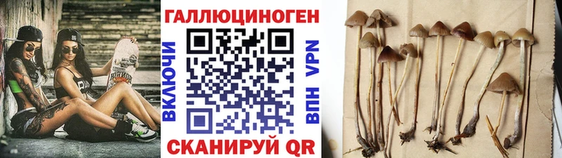 Псилоцибиновые грибы Magic Shrooms  Красный Сулин 