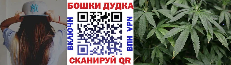 дарк нет Telegram Красный Сулин Канабис OG Kush